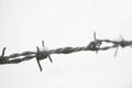 Barbed wire in snow Royalty Free Stock Photo