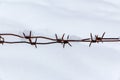 Barbed wire on snow background Royalty Free Stock Photo