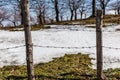 Barbed wire and snow Royalty Free Stock Photo