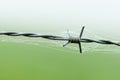 Barbed wire with spider web and drops of water Royalty Free Stock Photo