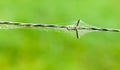 Barbed wire with spider web and drops of water Royalty Free Stock Photo