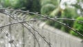 Barbed wire in spiral rows near a solid metal bar fence with Arabic pattern. Eastern style security wire and steel Royalty Free Stock Photo