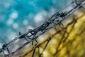 Barbed wire spiral security barrier, prison fencing in blue yellow colors of Ukraine flag. Royalty Free Stock Photo