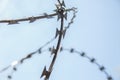 barbed wire spiral through which the blue sky is visible Royalty Free Stock Photo