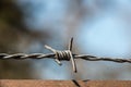 Barbed wire