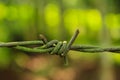 Barbed wire stock photography