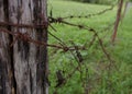 Barbed wire