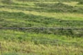 Barbed Wire Strand Closeup in a Countryside Location Royalty Free Stock Photo