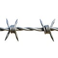 Barbed wire strand isolated on white background Royalty Free Stock Photo