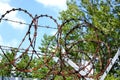 Coiled barbed wire dividing two worlds of people Royalty Free Stock Photo