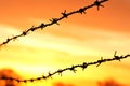 Barbed wire at sunrise Royalty Free Stock Photo