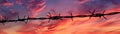 Barbed wire sunset, confinement, silhouette, evening sky , high-resolution