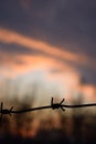 Barbed wire thread on sunset background