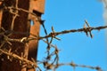 Barbed wire at times reminiscent of concentration camps Royalty Free Stock Photo