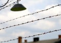 barbed wire to demarcate the concentration camp Royalty Free Stock Photo