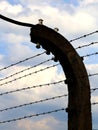barbed wire to demarcate the prison camp Royalty Free Stock Photo