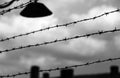 barbed wire to demarcate the prison camp Royalty Free Stock Photo