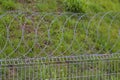 Barbed wire Royalty Free Stock Photo