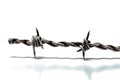 Barbed Wire on Transparent Background. AI Royalty Free Stock Photo