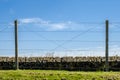 Barbed wire trench of death world war one Royalty Free Stock Photo