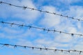 Barbed wire under tension under blue sky. Fence with barbed wire Royalty Free Stock Photo