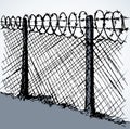 Barbed wire. Vector drawing Royalty Free Stock Photo