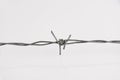 Barbed wire on a white background. Close-up, with a sharp spike. copy space Royalty Free Stock Photo