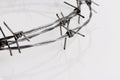 Barbed wire on a white background. Close-up, with sharp spikes arranged in a semicircle with reflection. copy space Royalty Free Stock Photo