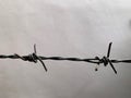 Barbed wire on a white background Royalty Free Stock Photo