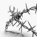 barbed wire white background zoom 1 Royalty Free Stock Photo