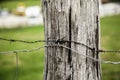 Barbed wire on wood Royalty Free Stock Photo