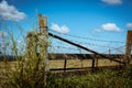 Barbed wire on a wooden fence in the field Royalty Free Stock Photo