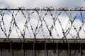 Barbed wire wound to the top of a fence