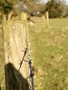 Barbed wired fence in the Yorkshire dales