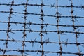 Barbed wires Royalty Free Stock Photo