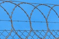 Barbedwire Royalty Free Stock Photo