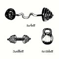 Barbell, dumbbell, kettlebell. Ink black and white doodle drawing