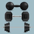 Barbell, dumbbells and kettlebell vector