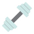 Barbell flat icon, fitness and sport, dumbbell