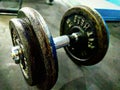 Barbell 5kg Royalty Free Stock Photo