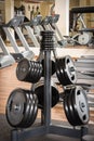 Barbell plates rack Royalty Free Stock Photo