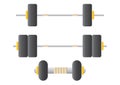 barbells and dumbbell. Vector illustration decorative design