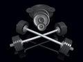 Barbells and heavy disks