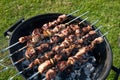 Barbeque 3