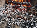 Barbeque charcoal  and wood fire grill Royalty Free Stock Photo