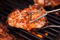 Barbeque Chicken on the Grill Royalty Free Stock Photo
