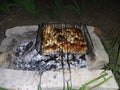 Barbeque Chicken on the grill Royalty Free Stock Photo