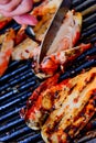 Barbeque chicken on the grill Royalty Free Stock Photo