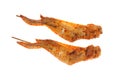 Barbeque Chicken Wings Royalty Free Stock Photo