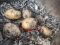 Barbeque - cooking of meat. patato Royalty Free Stock Photo